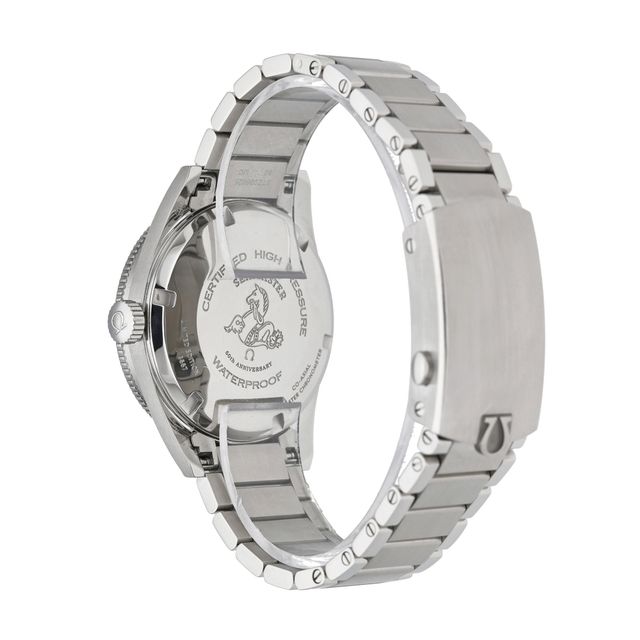 Omega Seamaster 300 234.10.39.20.01.001 Image 3